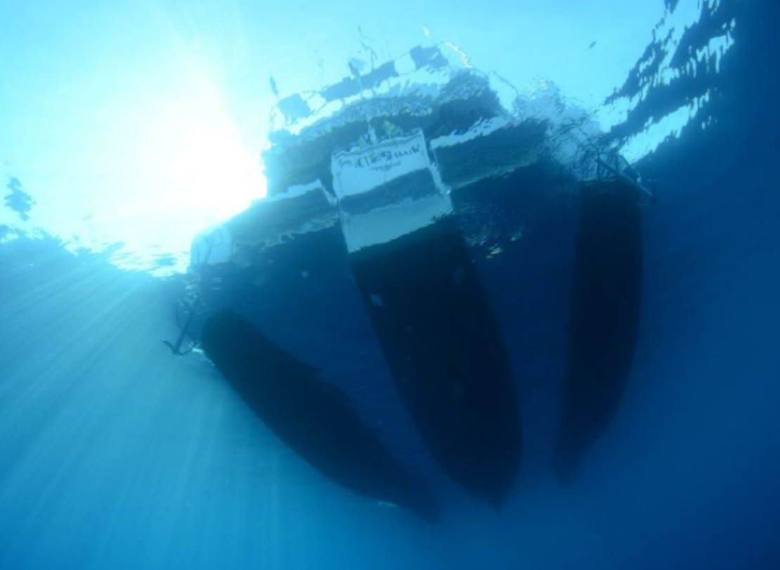 Victoria vue sous marine