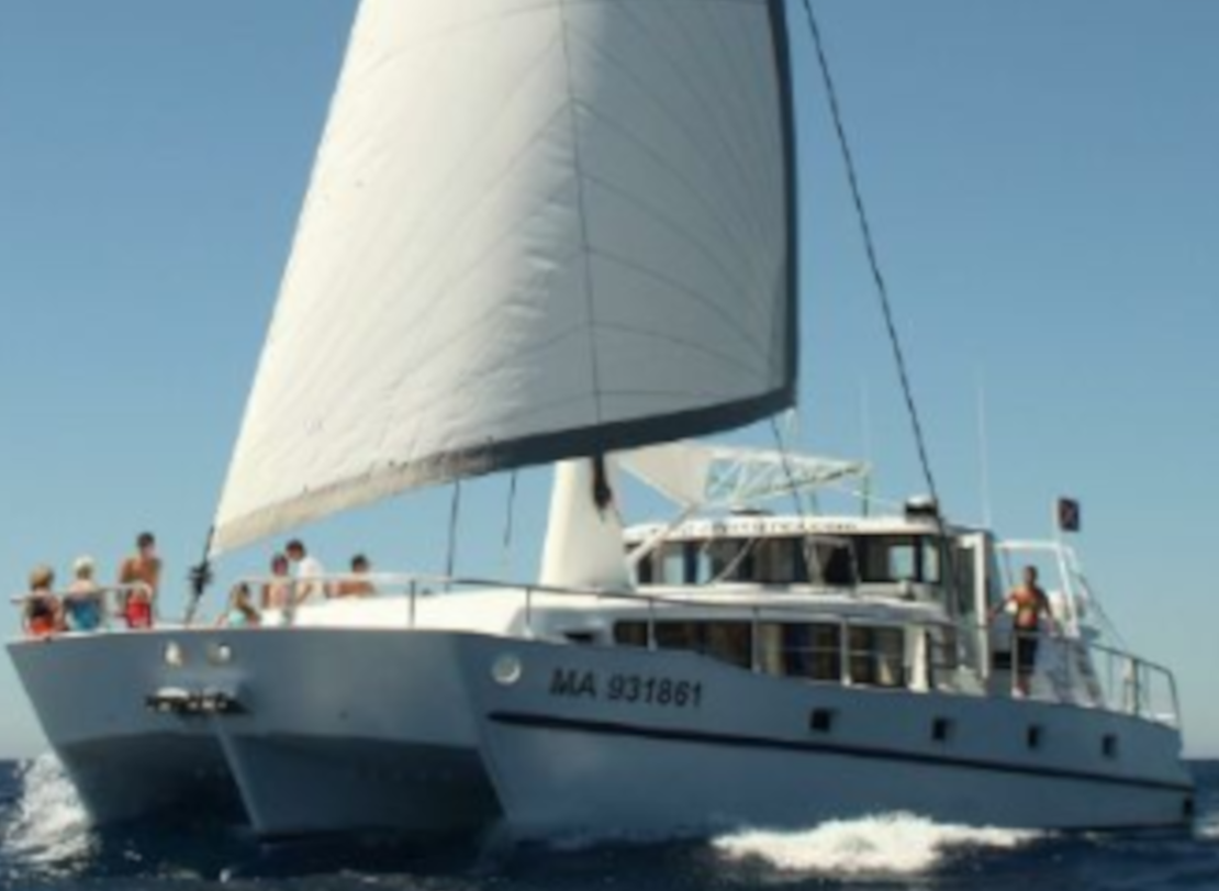 Navigation a la voile pour ce navire de recherche océanographique